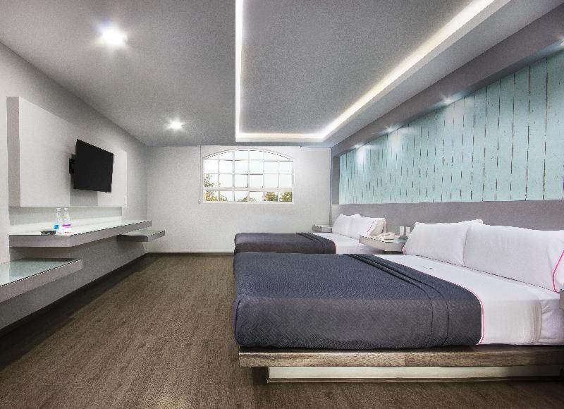 Hotel Mx Congreso Mexico City Room photo